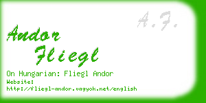 andor fliegl business card